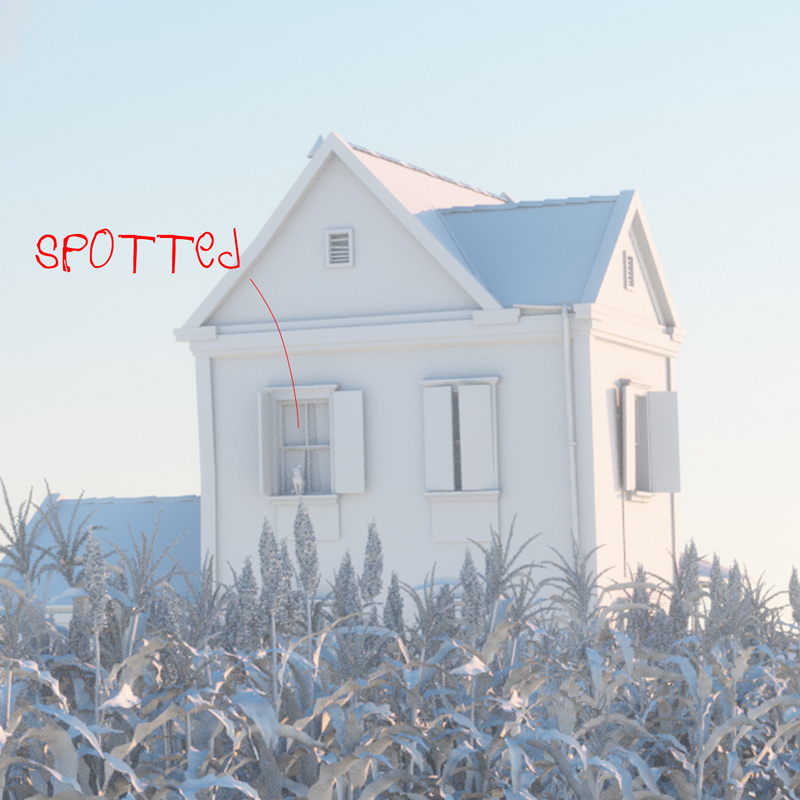 Corn Field - Détail